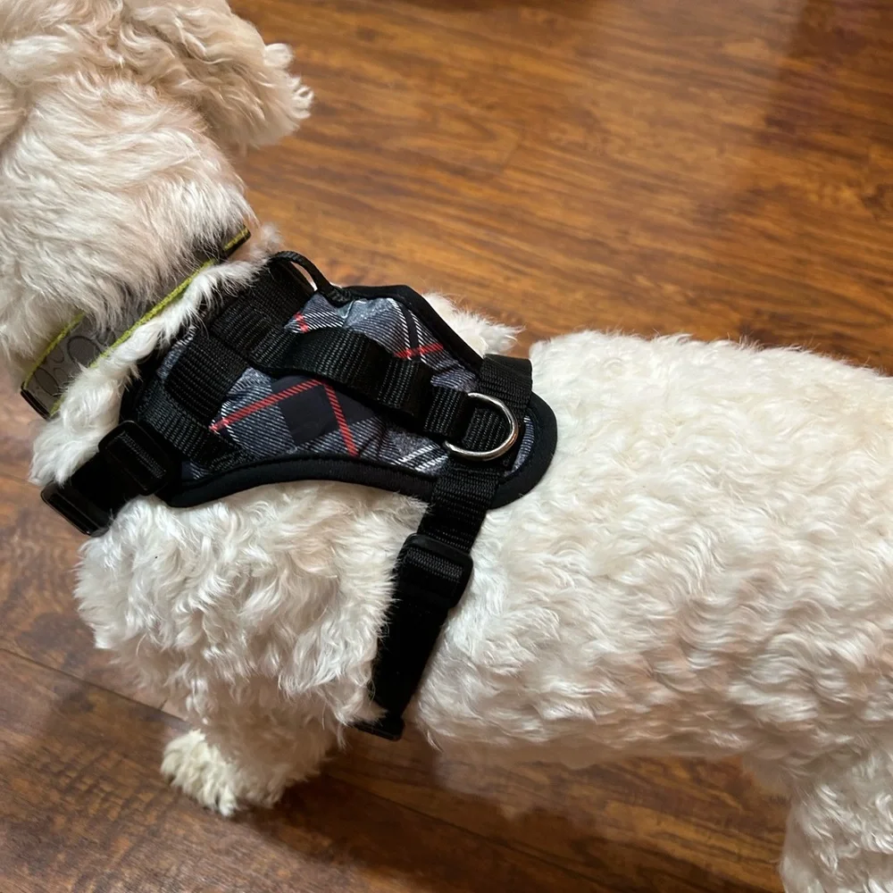 Canada Pooch Everything Plaid Dog Durable Dog Harness - Black, Gray, and Red